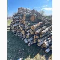 Продам дрова паливні, Чернігівська область