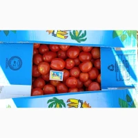 Продам помідор сливка Гонг та Фабер