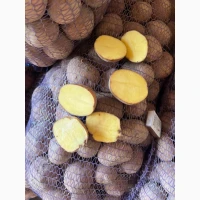 Продам оптом картоплю