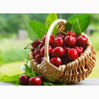 Продам заморожену вишню