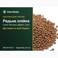 Пр0двм нвсіння 0лійн0ї редьки - 8еселкв, Двйк0н, Свтіс