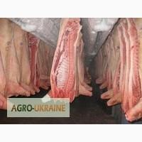 Продаем полутуши свиные охлажденные