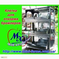 Клетка для выращивания кур бройлеров