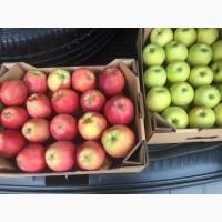 Продаем яблоки товарные и промпереработка врожай 2026 року. НДС