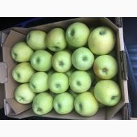 Продаем яблоки товарные и промпереработка врожай 2026 року. НДС