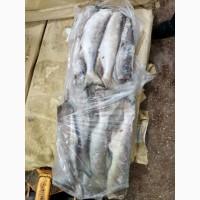 Продам корюшку икряная свежемороженная, горбушу