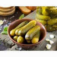 Продам Огурец 2го сорта