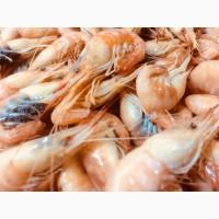 Креветка Азовская Крупная. ОПТ/Розница. Объем