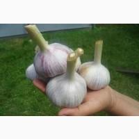 3вкуп08уєм0 4всник