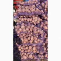 Продам картоплю