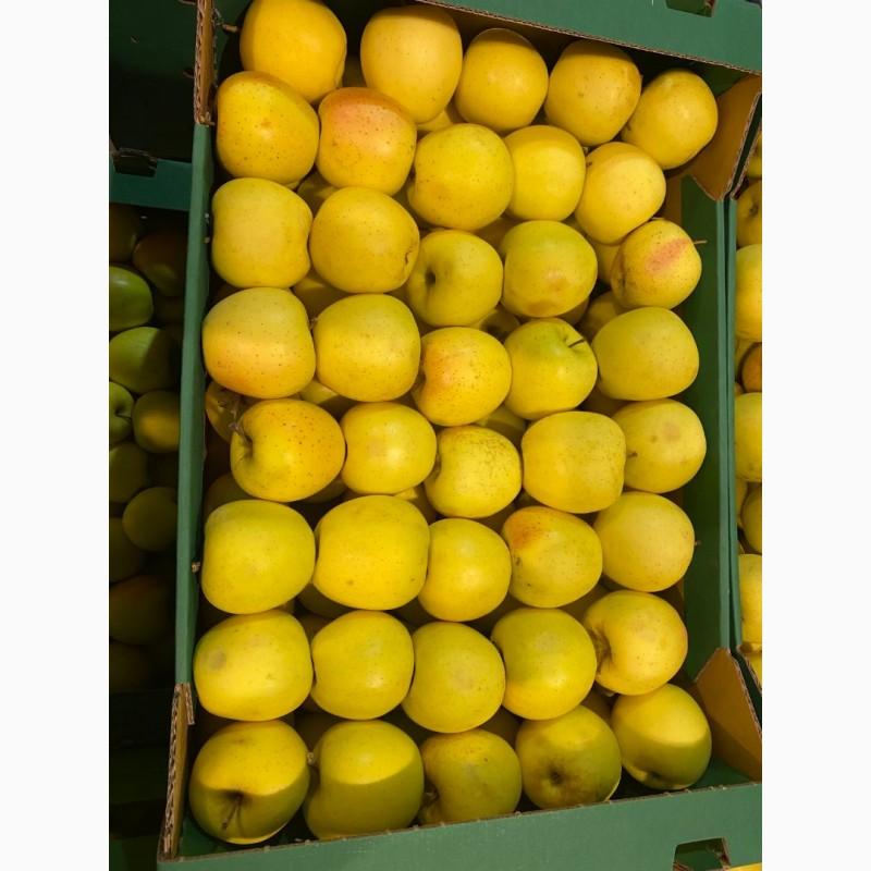 Фото 7. Продам яблоки от произодителя несколько сортов с 20 тонн