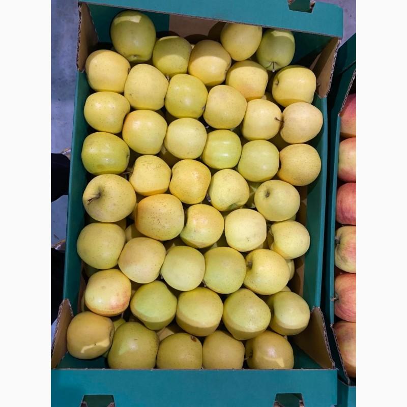 Фото 9. Продам яблоки от произодителя несколько сортов с 20 тонн