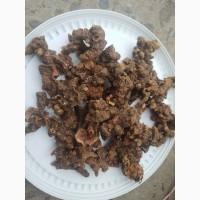 Корінь калгану сушений 1 кг