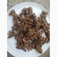 Корінь калгану сушений 1 кг