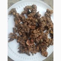 Корінь калгану сушений 1 кг