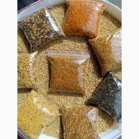 Продам віск забрусний