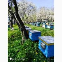 Продам віск забрусний