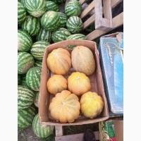 Продам диню ефіопка