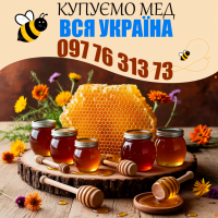 Закуповуємо мед по всій Україні! Мінімальна партія - 500 кг