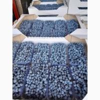 Купуємо ЛОХИНУ(голубіку)