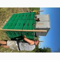 Буряк оптом Харківська область