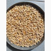 Продамо половинки нуту очищенного