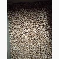 Продам фундук чищений сирий