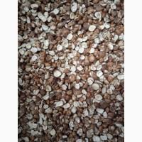 Продам фундук чищений сирий