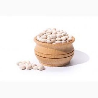 Приймаємо на переробку квасолю білих сортів