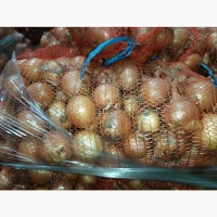 Продам лук оптом