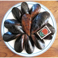 Свежемороженная печень рапаны. Мясо рапана. Черноморский Рапан. Cырая, без консервантов