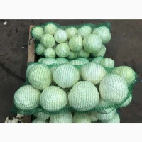 Продам Капусту