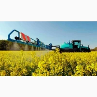 Постійний закупівельник зернових шукає партнерів