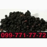 Продам Суху ягоду бузини високої якості! У будь якому обсязі