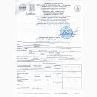 Продам насіння люцерни сорту Надія 1кг