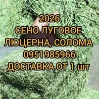 Сено люцерны в тюках, луговое сено, солома с доставкой от производителя