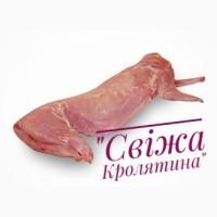 Кролятина