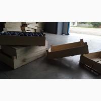 Продам ящик под сливу