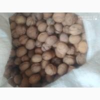 Куплю горіх кругляк