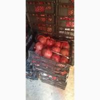 Продам гранат из Египта