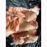 Продам шкуру свинную (2с)