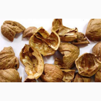 Закупаем скорлупу грецкого ореха