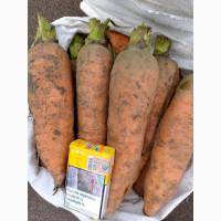 Продаємо морковчу