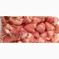 Продам серце свинне За запитом