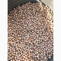 Продам горох продовольчий сортовий