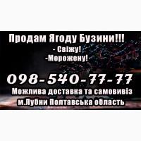 Продам Ягоду Бузини оптом!Сезон 2025