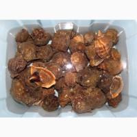 Рапана сырая свежая. Очищенная. Мясо рапаны. Печень Рапан. Черноморская Рапана