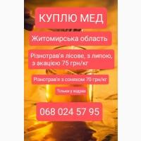 Куплю мед 75 грн/кг