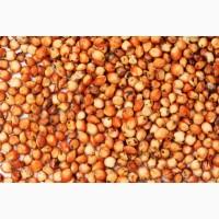 Закуповуємо сорго