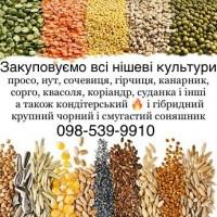Купуємо кондитерський соняшник а також КРУПНОГО розміру гібридний смугастий та чорний